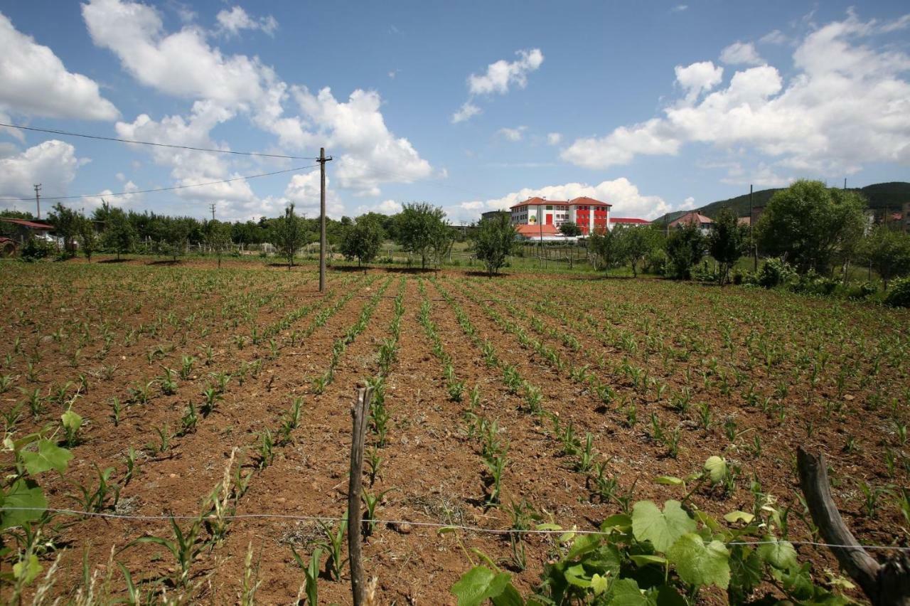 Agroturizem Lajthiza * Korce