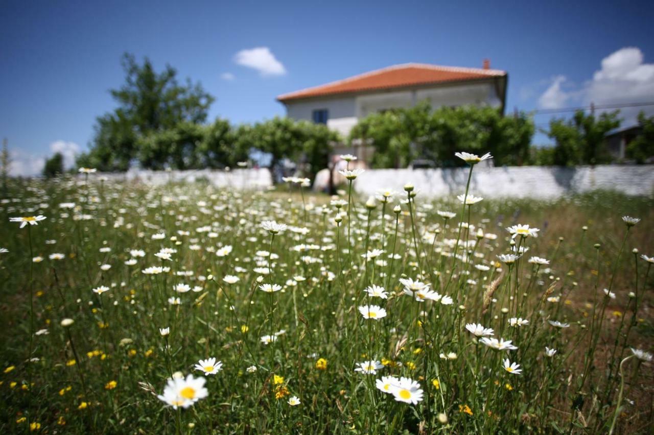 Gasthuis Agroturizem Lajthiza *